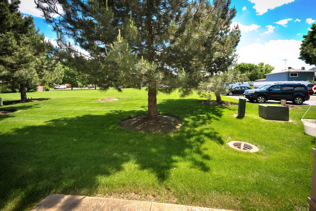 1724 Pershing Ave, Wheaton, IL 60189 photo 21