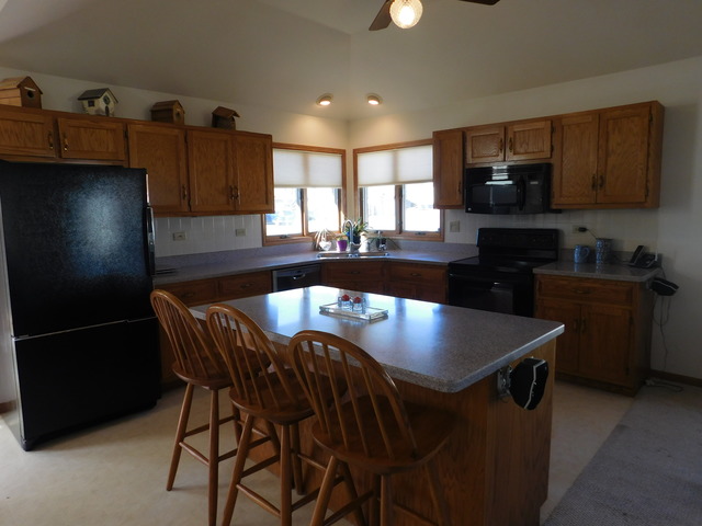 823 Burla Dr, Morris, IL 60450 photo 9
