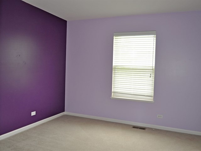 210 Vail Ct, Gilberts, IL 60136 photo 17