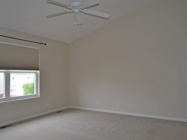 210 Vail Ct, Gilberts, IL 60136 photo 12