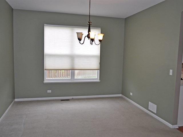 210 Vail Ct, Gilberts, IL 60136 photo 9