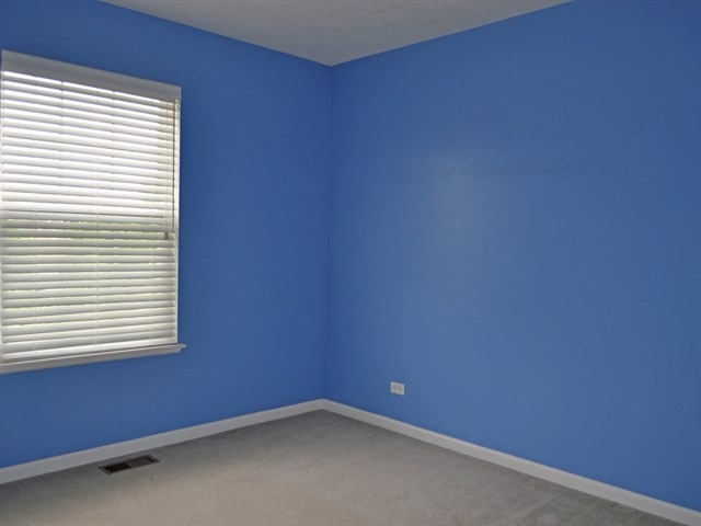 210 Vail Ct, Gilberts, IL 60136 photo 16