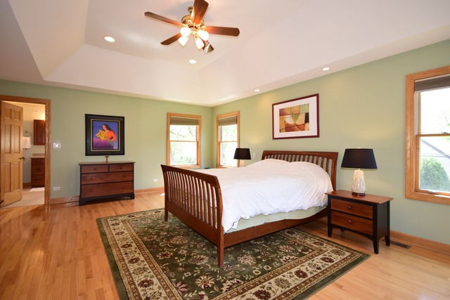 350 E May St, Elmhurst, IL 60126 photo 9