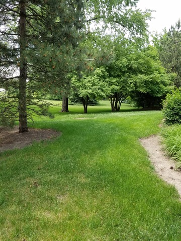 56 Bay Dr, Itasca, IL 60143 photo 23