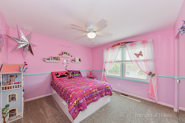4420 Old Meadow Ct, Plainfield, IL 60586 photo 15