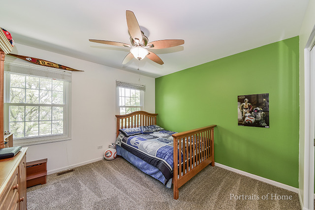 4420 Old Meadow Ct, Plainfield, IL 60586 photo 16