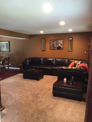 328 Oakmont Dr, Bartlett, IL 60103 photo 5