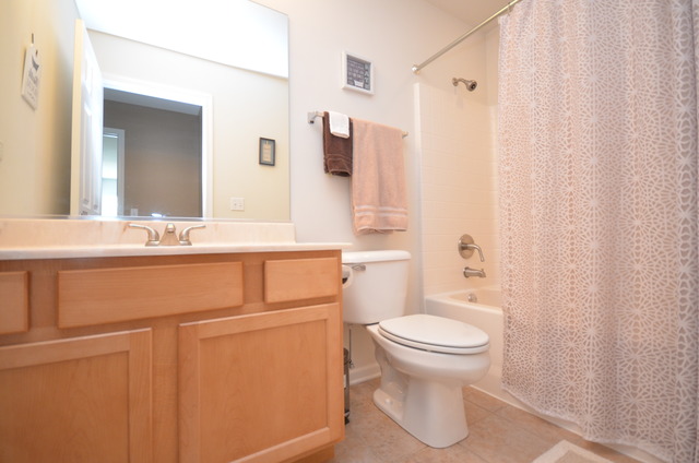 26520 Rustling Birch Way, Plainfield, IL 60585 photo 21