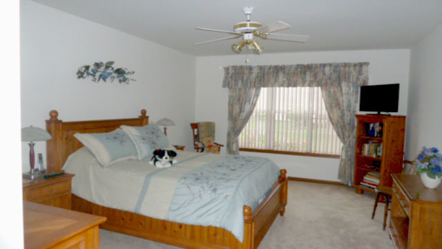 21051 W Hazelnut Ln, Plainfield, IL 60544 photo 8