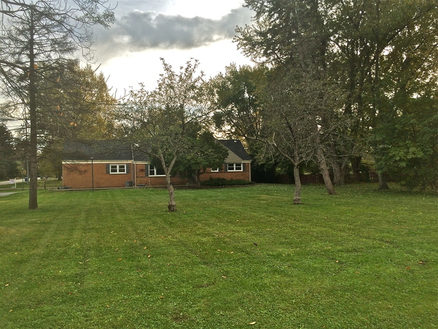 5904 Western Ave, Willowbrook, IL 60527 photo 15