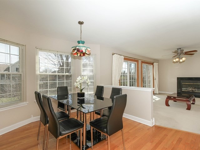 331 Wildberry Ln, Bartlett, IL 60103 photo 13