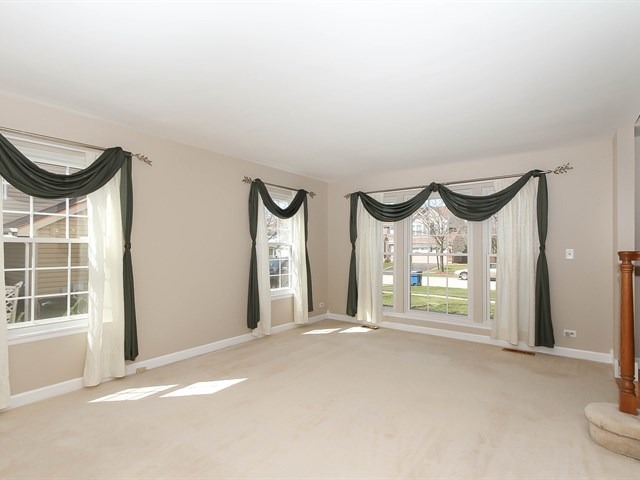 331 Wildberry Ln, Bartlett, IL 60103 photo 5