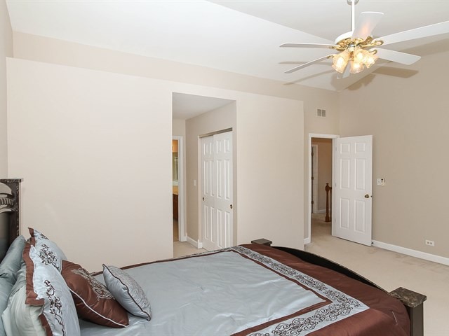 331 Wildberry Ln, Bartlett, IL 60103 photo 17