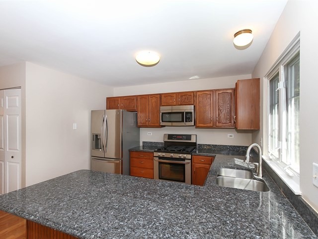 331 Wildberry Ln, Bartlett, IL 60103 photo 11