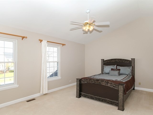 331 Wildberry Ln, Bartlett, IL 60103 photo 16