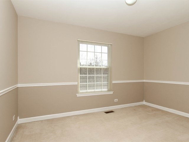 331 Wildberry Ln, Bartlett, IL 60103 photo 21