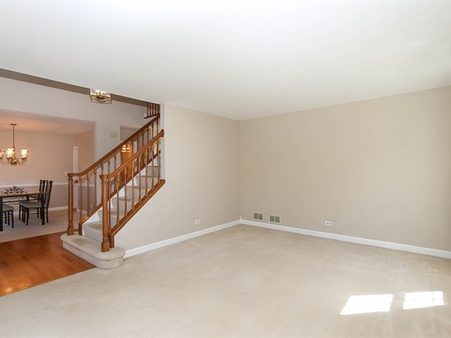 331 Wildberry Ln, Bartlett, IL 60103 photo 6