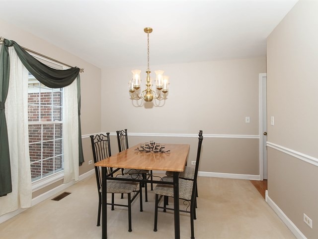 331 Wildberry Ln, Bartlett, IL 60103 photo 7