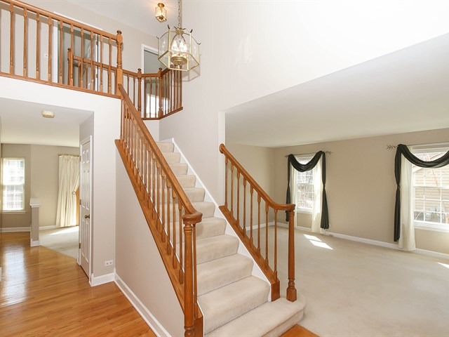 331 Wildberry Ln, Bartlett, IL 60103 photo 4