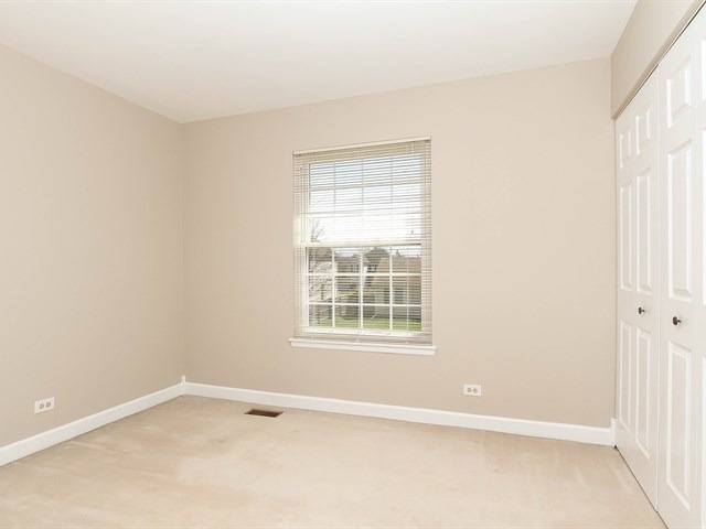 331 Wildberry Ln, Bartlett, IL 60103 photo 19