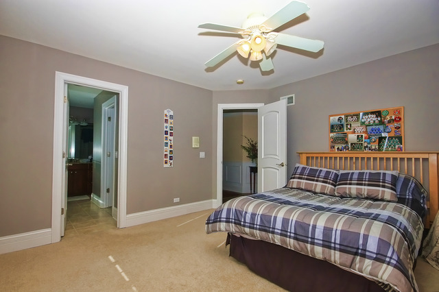 48 E Gilbert Rd, Palatine, IL 60067 photo 16