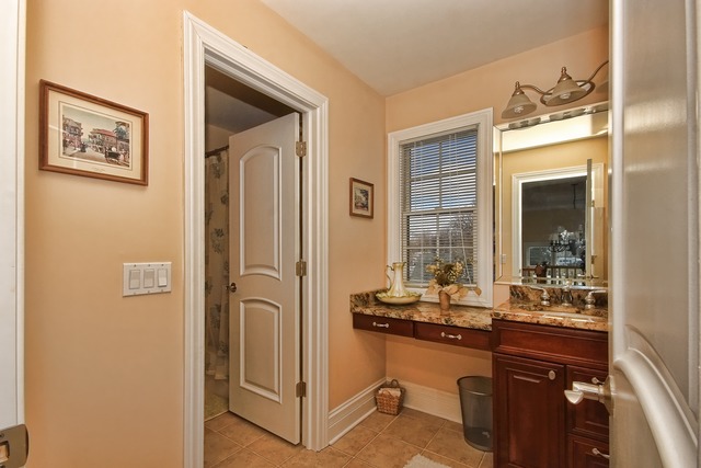 48 E Gilbert Rd, Palatine, IL 60067 photo 11