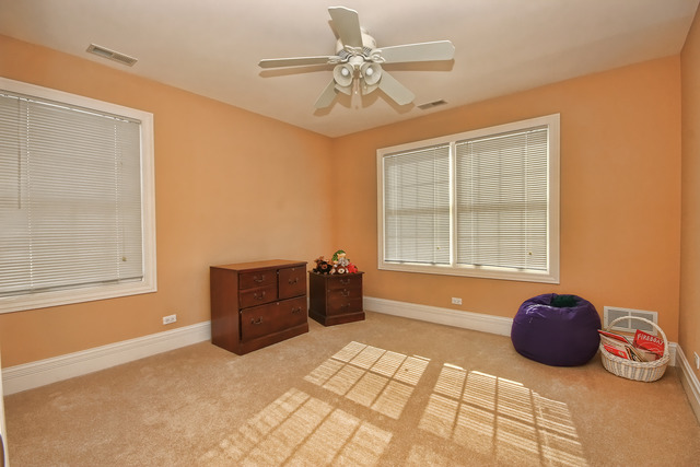 48 E Gilbert Rd, Palatine, IL 60067 photo 18