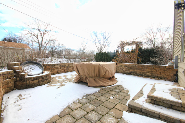 48 E Gilbert Rd, Palatine, IL 60067 photo 23