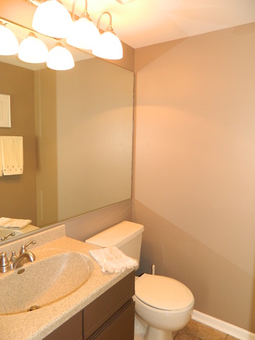 1587 Bicek Dr, Hoffman Estates, IL 60192 photo 7