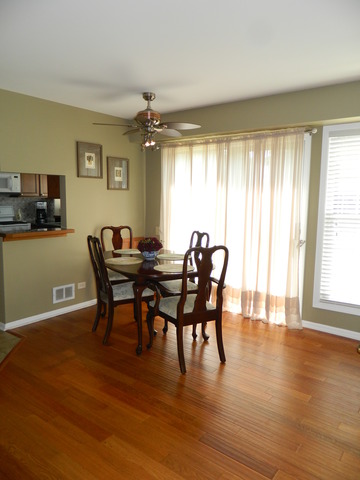 1587 Bicek Dr, Hoffman Estates, IL 60192 photo 5