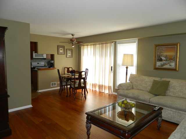 1587 Bicek Dr, Hoffman Estates, IL 60192 photo 6