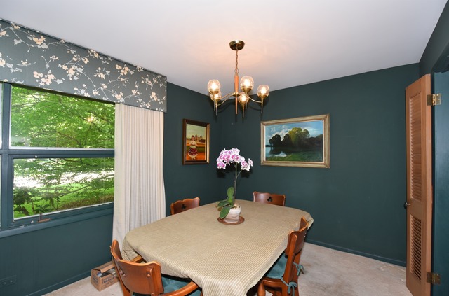 433 Ferndale Rd, Glenview, IL 60025 photo 8