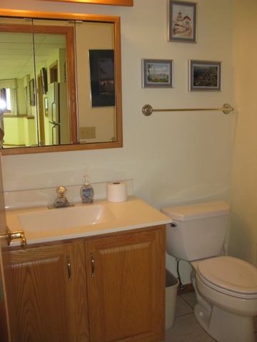 8404 Saint Moritz Dr, Spring Grove, IL 60081 photo 19