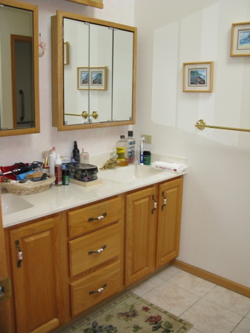 8404 Saint Moritz Dr, Spring Grove, IL 60081 photo 12