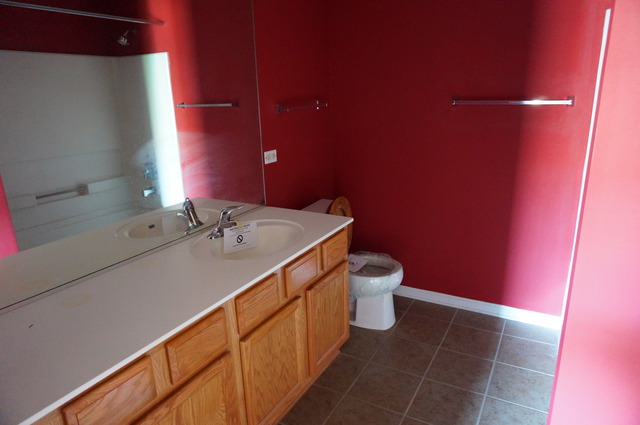 542 Conservatory Ln, Aurora, IL 60502 photo 23