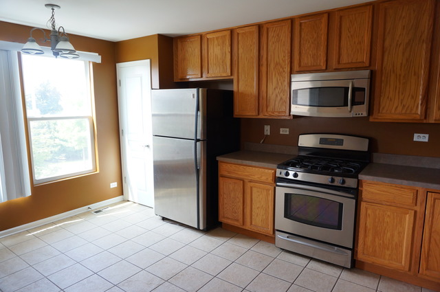 542 Conservatory Ln, Aurora, IL 60502 photo 11