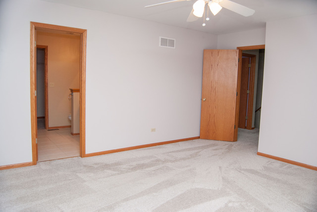 1825 Arbor Falls Dr, Plainfield, IL 60586 photo 12