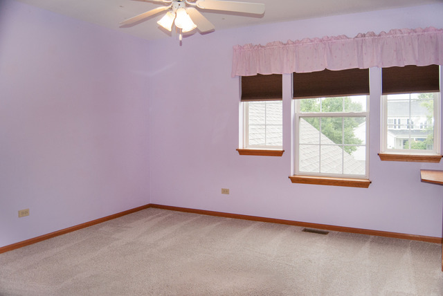 1825 Arbor Falls Dr, Plainfield, IL 60586 photo 15