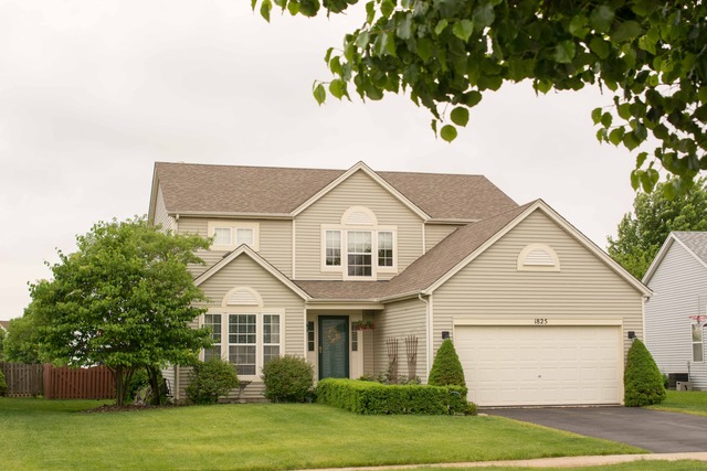 1825 Arbor Falls Dr, Plainfield, IL 60586 photo 1