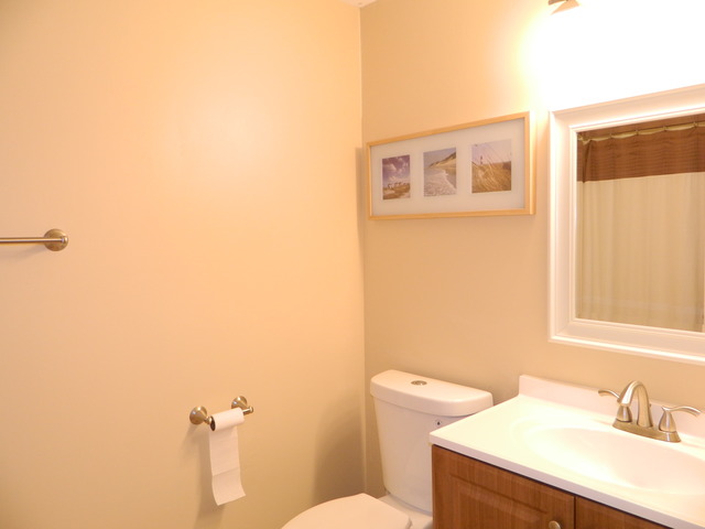 4560 Thornbark Dr, Hoffman Estates, IL 60192 photo 15