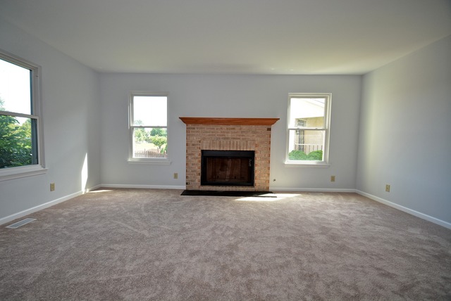14120 Buckner Ct, Plainfield, IL 60544 photo 3