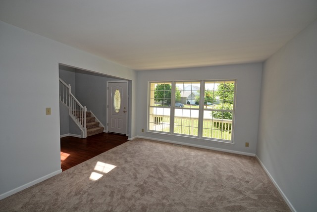 14120 Buckner Ct, Plainfield, IL 60544 photo 13
