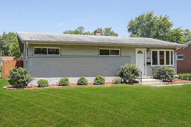 256 E Wrightwood Ave, Addison, IL 60101 photo 1