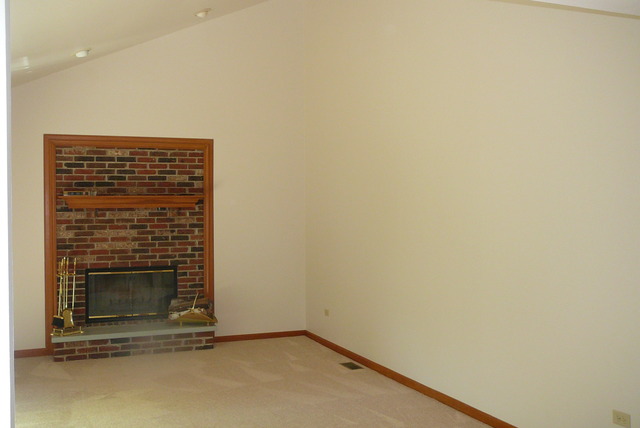 888 Francine Dr, Bartlett, IL 60103 photo 10