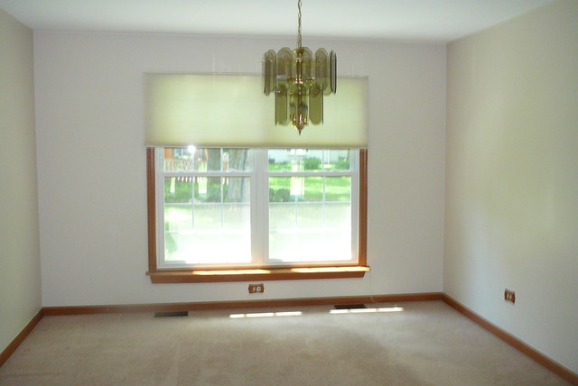 888 Francine Dr, Bartlett, IL 60103 photo 6