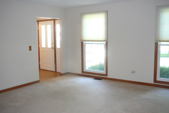 888 Francine Dr, Bartlett, IL 60103 photo 5