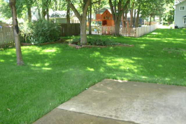 888 Francine Dr, Bartlett, IL 60103 photo 3