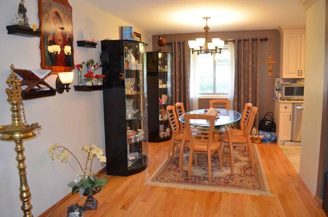 1419 E Lowden Ln, Mount Prospect, IL 60056 photo 5