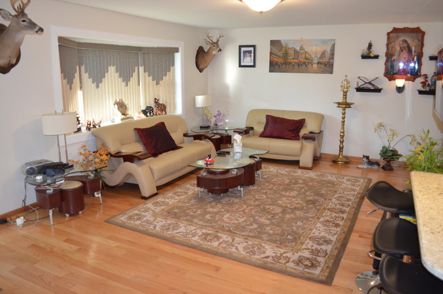 1419 E Lowden Ln, Mount Prospect, IL 60056 photo 3
