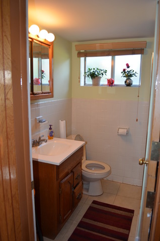 1419 E Lowden Ln, Mount Prospect, IL 60056 photo 8